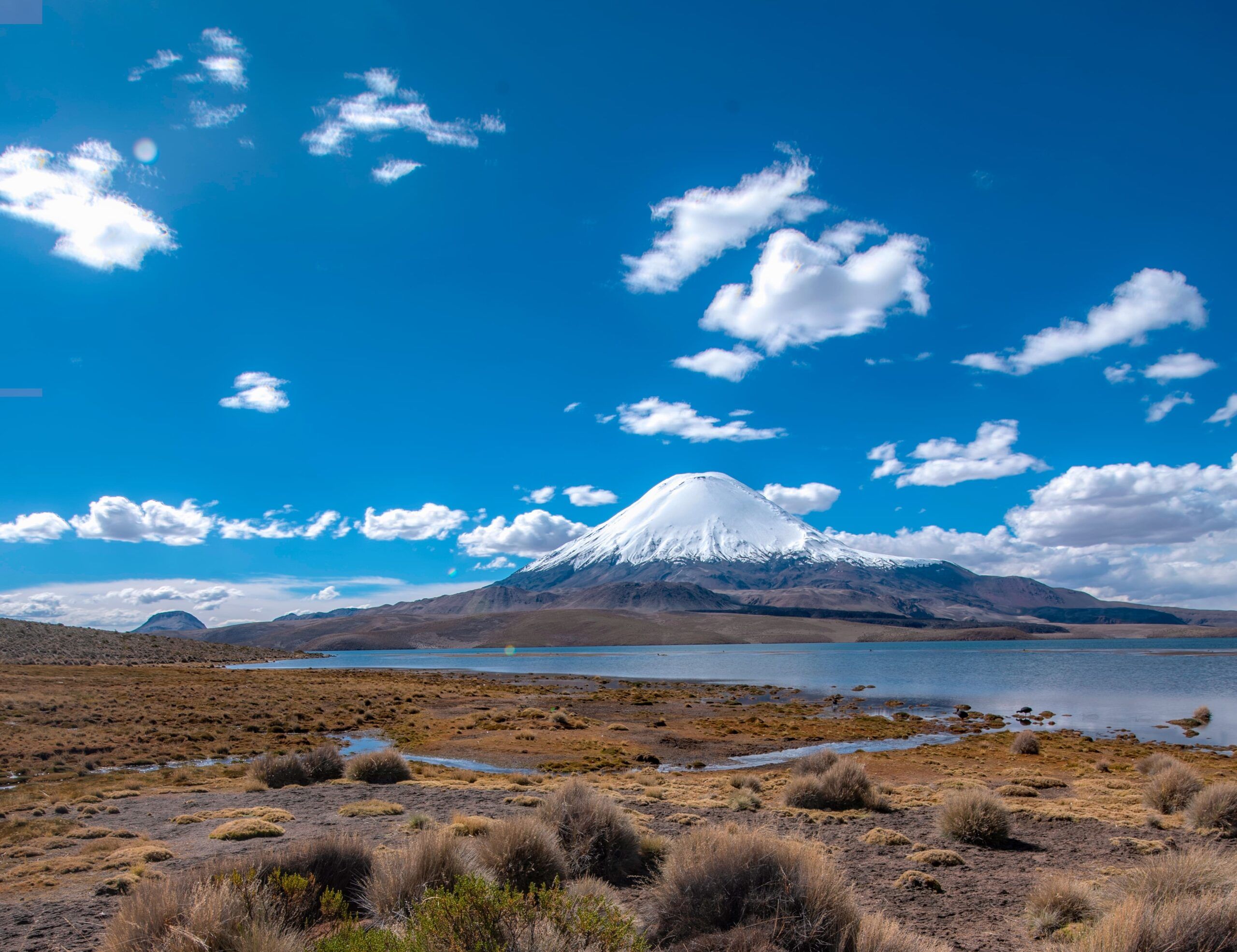 Volcan Parinacota en Lago Chungara